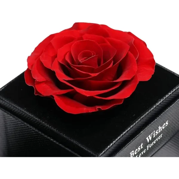  Necklace - Luxurious Rose Gift Box, Perfect for Valentine's Day, Mother's Day, Anniversary, Birthday, and Any Special Occasion  - Image 3