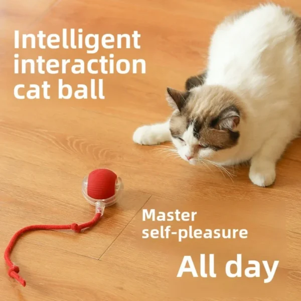 Rechargeable Smart Pet Interactive Automatic Rolling Ball Toy Cats Pet Products New Electric Dog Ball Toy Simulated Tail For Cat - Image 3